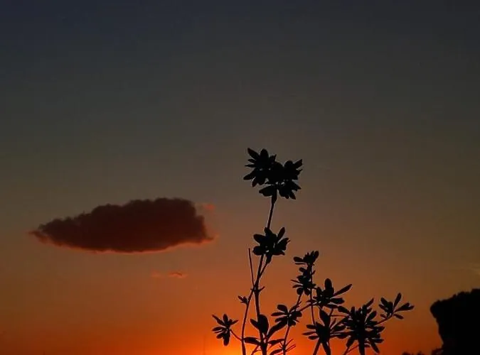 Appartamento Il Tramonto *